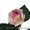 Розы Дольче Вита #529441
