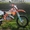 KTM EXC 125 KTM 125 EXC                                                          #855711