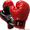 Спорт клуб Сатори объявляет набор детей и женщин в группу по боксу и кикбоксингу #1190090