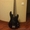 Продам Fender Silvertone Bass #1481017