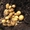 Семенной картофель из Поволжья #1596896