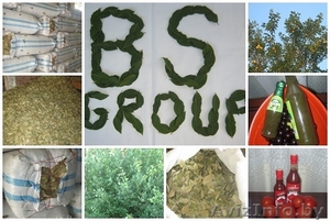 bsgroup LTD высококачественные продуктыи из Грузии #716383