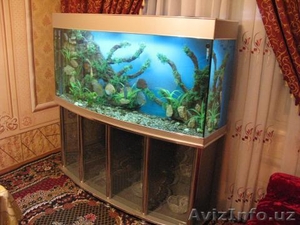 Куплю маленький станок с пантографом #3308