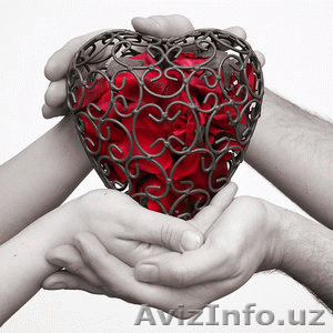 novaya i moshnaya #6769