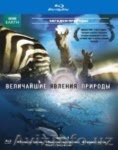 • Документальные фильмы BBC в стандарте Full HD - Blu-Ray,  Блю Рэй • #61780