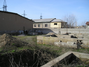 Дурмень 12 соток #82587