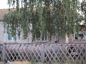 Продам дом недорого в экологически чистом районе Самарской области #96861