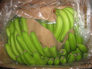 море фруктов почти даром #113982