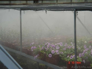 Системы туманообразования в теплицах. #136798