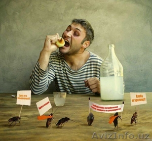 Дезинфекция,  дезинсекция,  ПРОФИЛАКТИКА и УНИЧТОЖЕНИЕ насекомых #159997