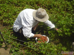 Продаю Дом в России Волгоградская обл #191144