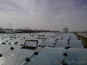 теплица в назарбеке #208591