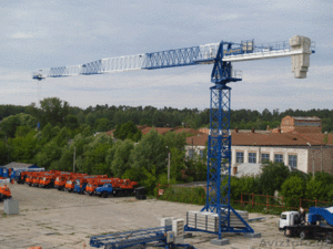 Башенный кран JT-110 #213461