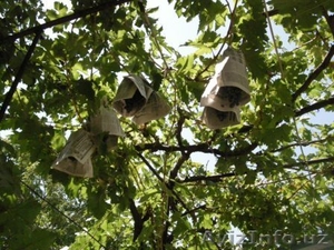 Продается дом в Миробадском районе #232973