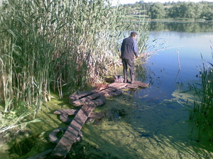 В Курской области в деревне у реки земля и дом. #242391