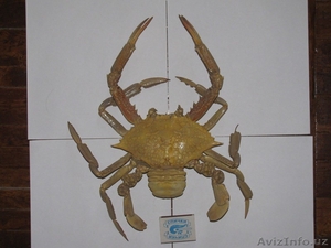 Коллекционирование  #263185