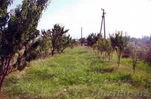 ПРИВАТИЗИРОВАННАЯ ЗЕМЛЯ АКТАШЕ. #306516