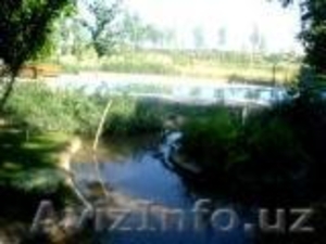 Сдаю свою дачу в аренду! Шикарно, недалеко от г.Ташкента цена приемлима #290723