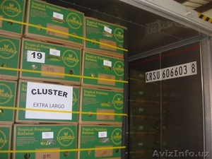 bananas, bananas, bananas #313867