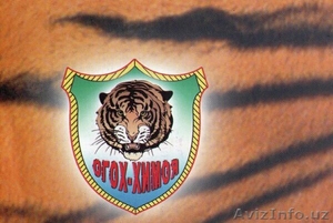 охранное агенство 