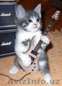 Уроки на гитаре одесса #356116