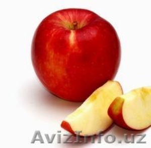 Саженцы плодовых растений,  Яблони,  Груши,  Абрикоса итд. Подвои. (VF) #410506