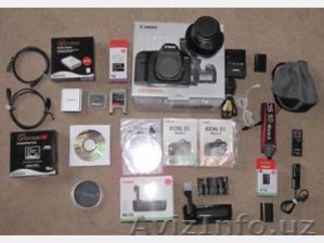 Canon EOS 5D Mark II +  Canon EF 24-105mm IS lens #427218