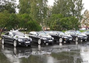 Свадебный Кортеж в г.Лида из Чёрных AUDI A6 #462620