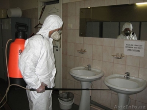 Дезинфекция 90 9409048 дезинсекция помещений. Уборка #508346