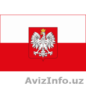 Работа в Польше #557843