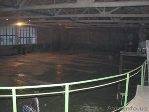 Ипподром. Фергана. #543168