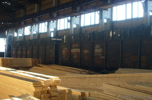производим и поставляем на экспорт пиломатериал вагонными нормами из России #522789