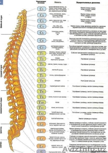 Только для жителей массива Сергели #570768
