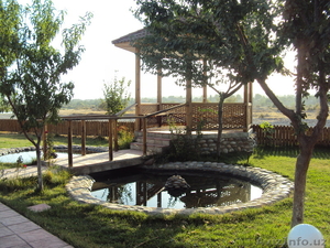 Продам дачу в пригороде Ташкента #612421