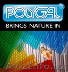 Широкий ассортимент сотовых поликарбонатных пустотных плит POLYGAL (Лексан) #722408
