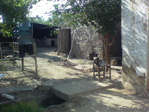 Dala hovli sotiladi! #733838