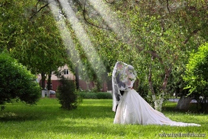 Геннадий Нестеренко - профессиональный фотограф  #611280