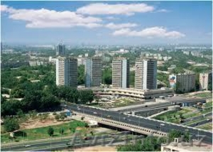 Центр 2 комнатная своя.. #594555