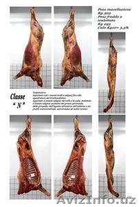 Конина мороженая и охлажденная #800233