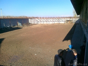 Животноводческие фермы. Продам готовый фермерский место 30 сот #805004