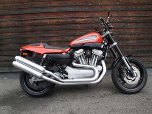 Harley-Davidson XR1200 Sportster                                                 #855124