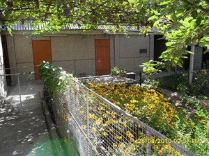 Продается дом в Ангрене #869610