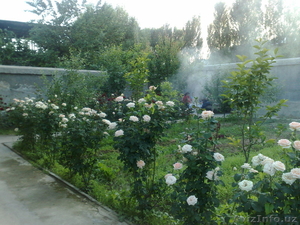 Продам Дачу на берегу реки Дамарык Зангиятинский р-н1км.от кольца #913694