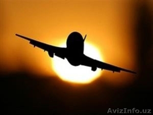 Авиакасса. Дешевые Авиабилеты #939568