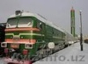 Сборная перевозка из Lianyungang, Yiwu, Shanghai, Shenzhen, Guangzhou в Ташкент #953014