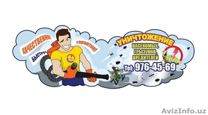 Срочная дезинфекция, дезинсекция и дератизация в Ташкенте,  от всех видо #484778