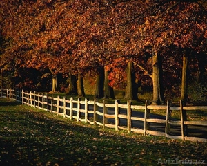 Продаю свой дом, 6 соток, 8 комнат. Район-ХАСАНБОЙ #1008806