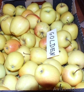 Продам яблоки.Польша #1002460