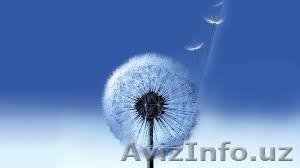 Muhammad Yuldashev. +99893 5664009,  muhamed_9999@mail.ru #1011307