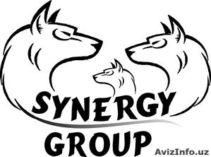 SYNERGY GROUP ООО #1013034